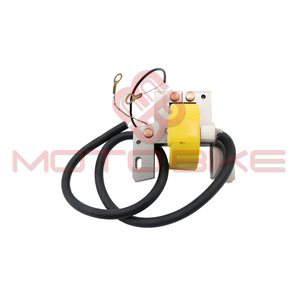 Ignition coil B&S 10 HP